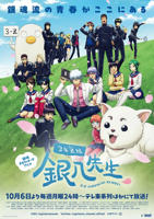 《3年Z组银八老师》动漫全集免费在线观看高清完整版播放